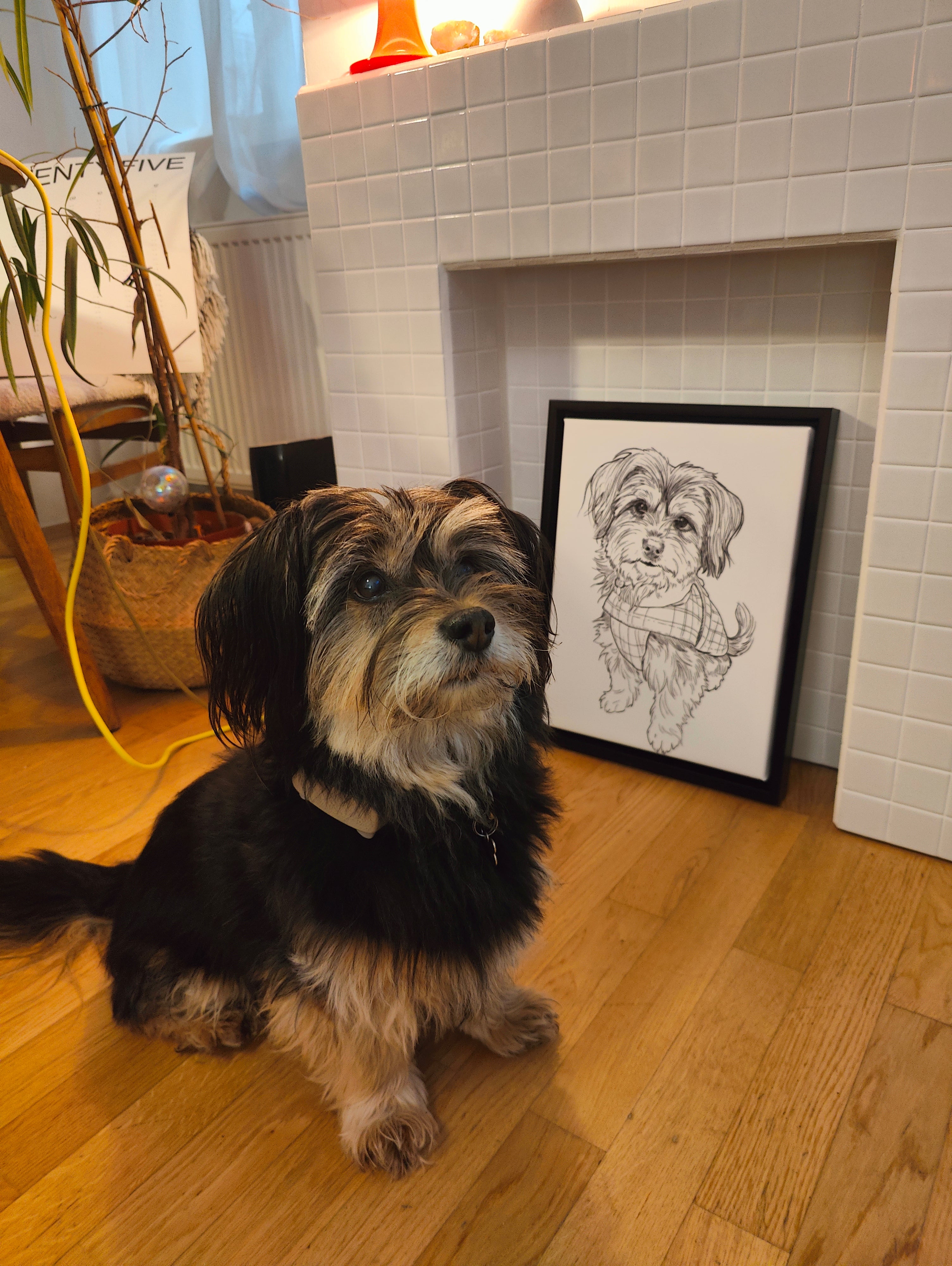 Dein Hund als zeitloses Kunstwerk – Schwarz-Weiß Leinwanddruck Gerahmt